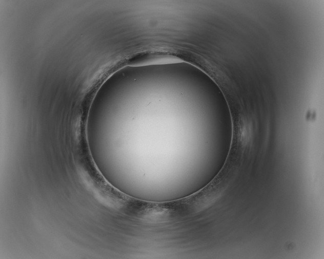 X0000114010206200910021351