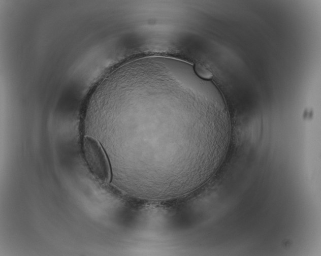 X0000114010207200910021351