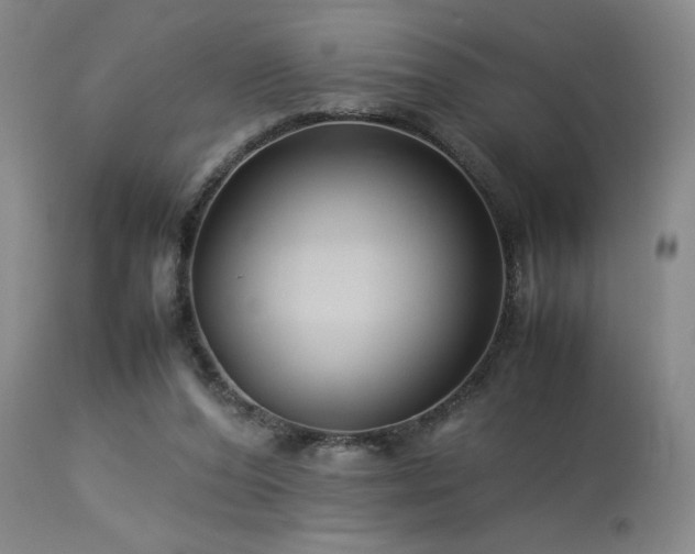 X0000114010208200910021351