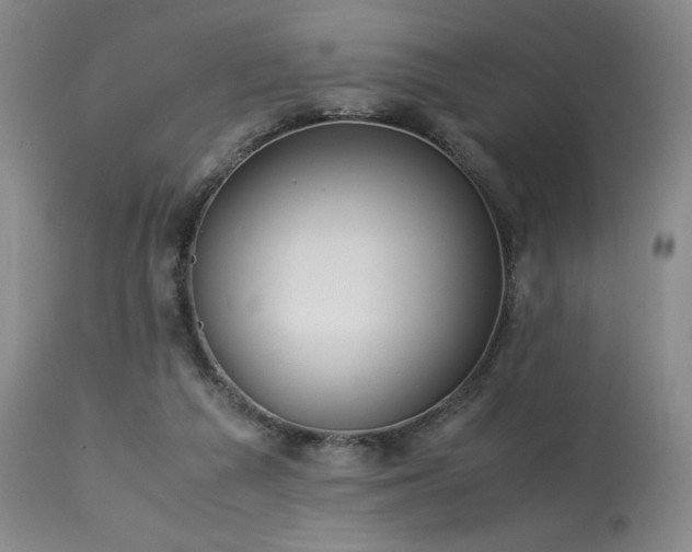 X0000114010209200910021351