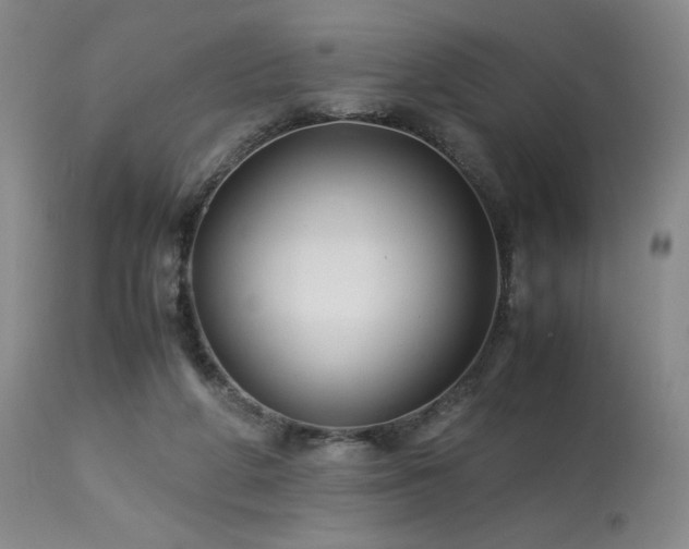 X0000114010210200910021351