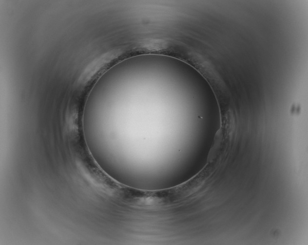 X0000114010212200910021351