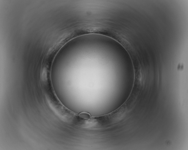 X0000114010214200910021351