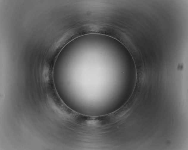 X0000114010216200910021351