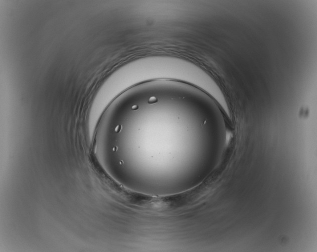 X0000114010217200910021351