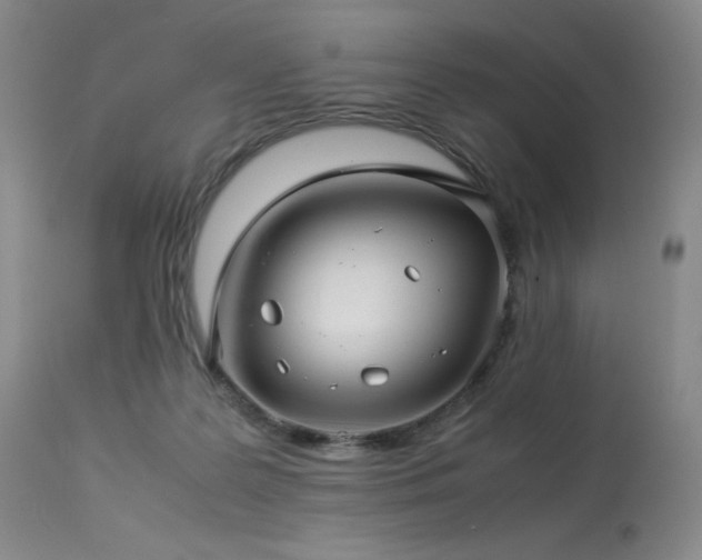 X0000114010219200910021351