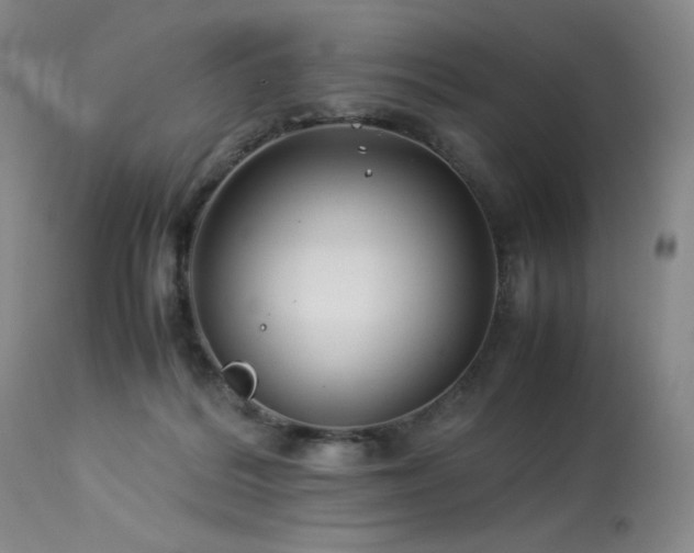 X0000114010220200910021351