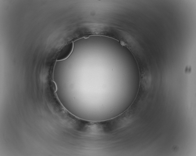 X0000114010221200910021351