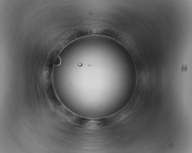 X0000114010222200910021351