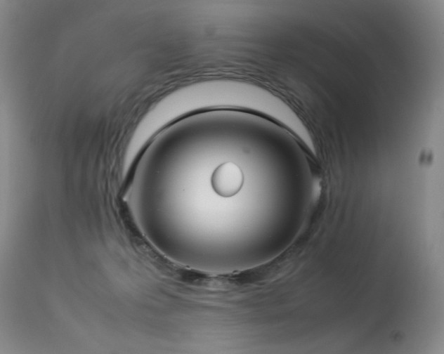 X0000114010223200910021351