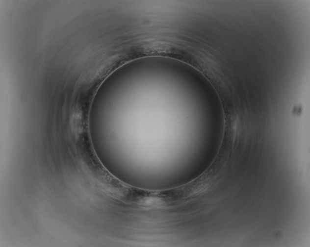 X0000114010224200910021351