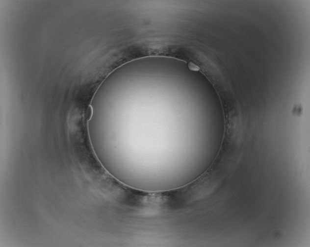 X0000114010225200910021351
