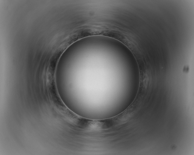 X0000114010226200910021351