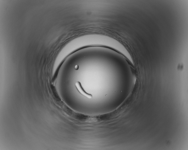 X0000114010227200910021351