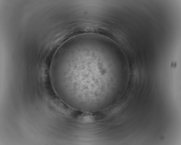 X0000114010228200910021350