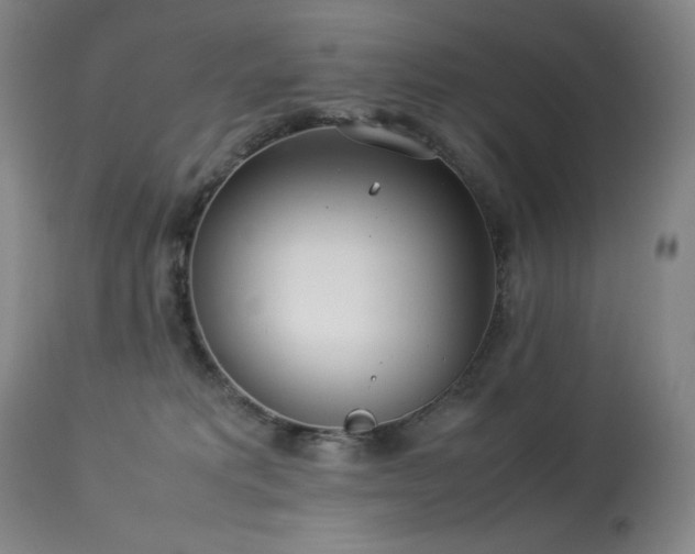 X0000114010229200910021350