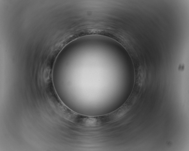 X0000114010230200910021350
