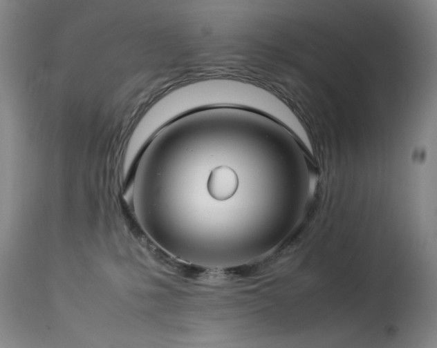 X0000114010231200910021350