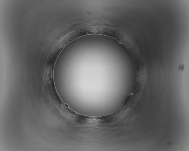 X0000114010233200910021350