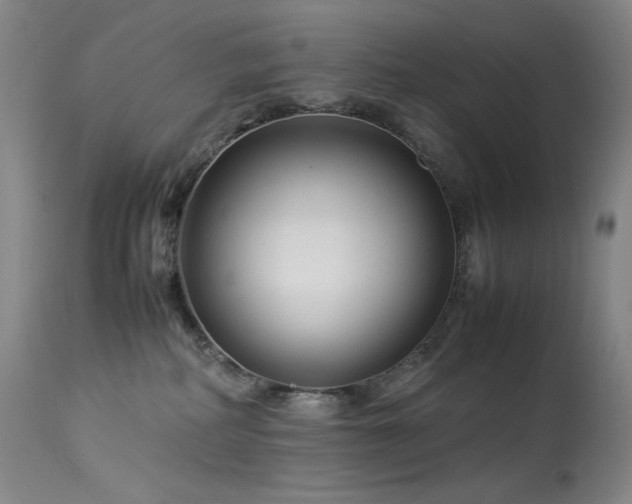 X0000114010234200910021350
