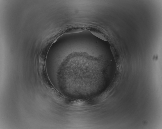 X0000114010235200910021350