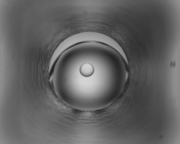 X0000114010237200910021350