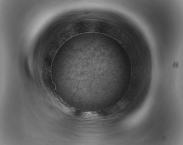 X0000114010239200910021350