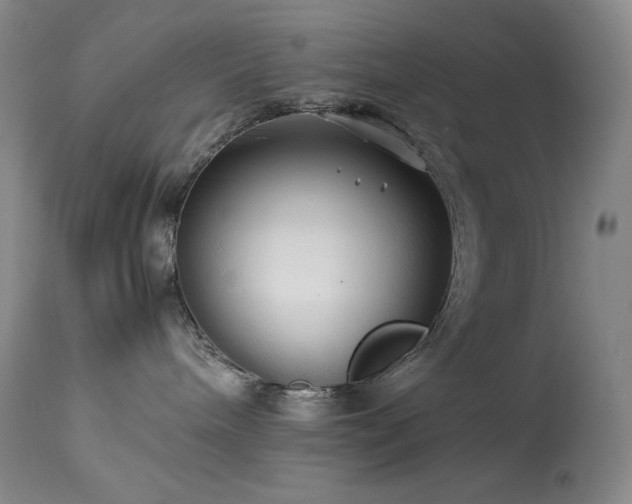X0000114010240200910021350