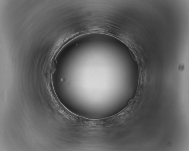X0000114010241200910021349