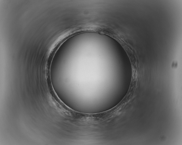 X0000114010244200910021350