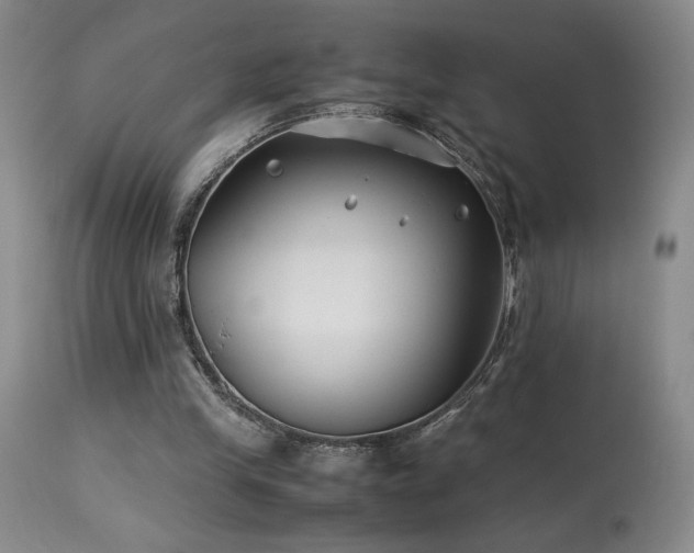 X0000114010245200910021350