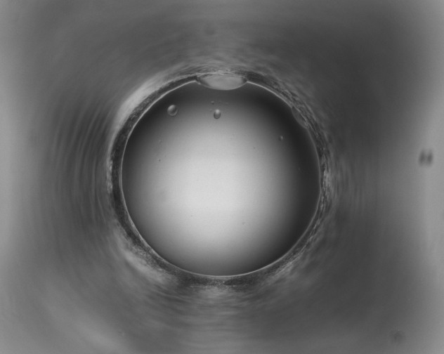X0000114010246200910021350