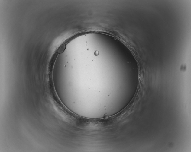 X0000114010248200910021350