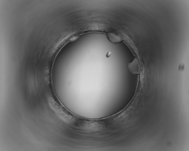 X0000114010249200910021350