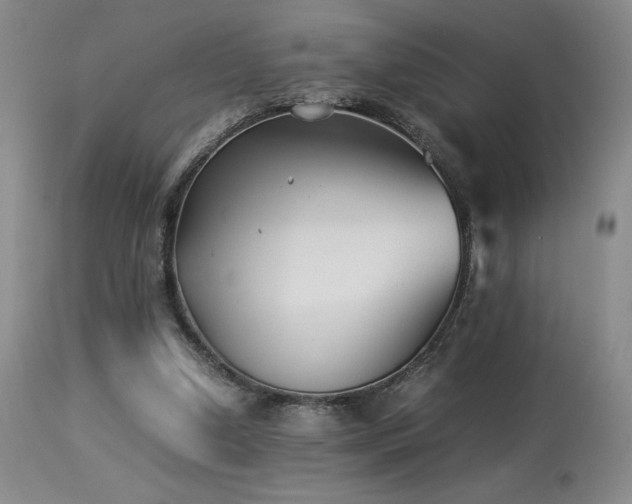 X0000114010250200910021350
