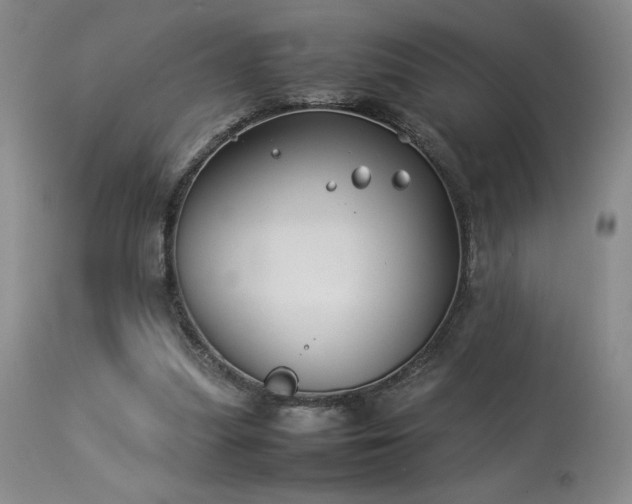 X0000114010251200910021350