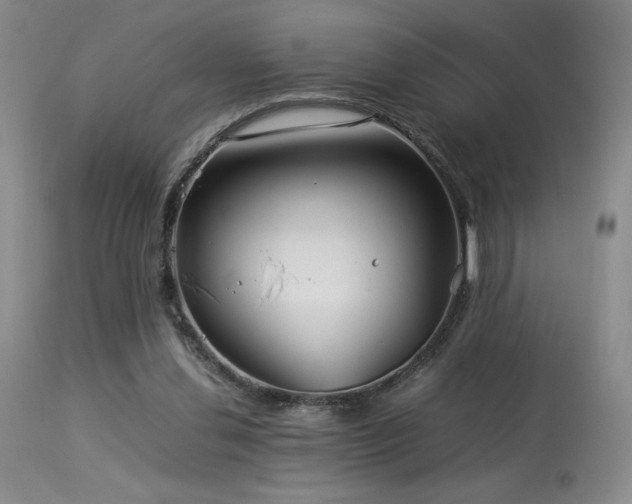 X0000114010252200910021350
