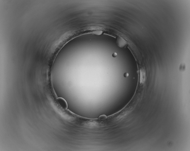 X0000114010253200910021350