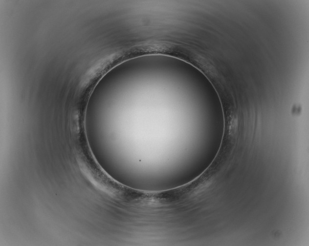 X0000114010254200910021350