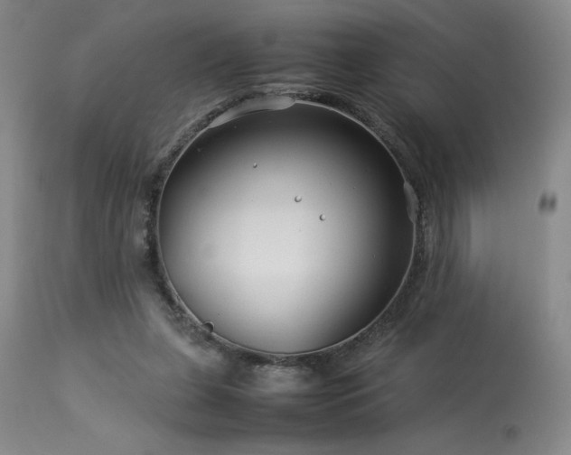 X0000114010255200910021350