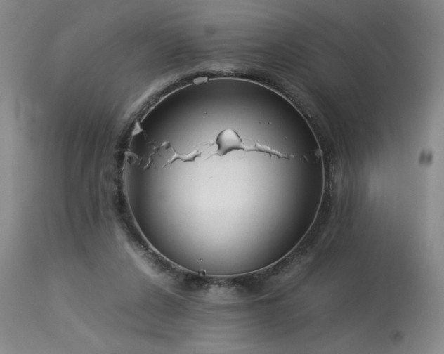 X0000114010256200910021350