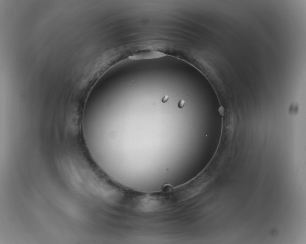 X0000114010261200910021350
