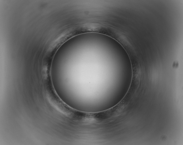 X0000114010262200910021350