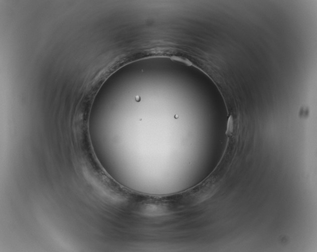X0000114010263200910021350