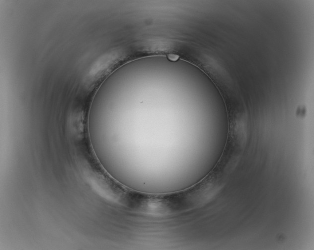 X0000114010264200910021350