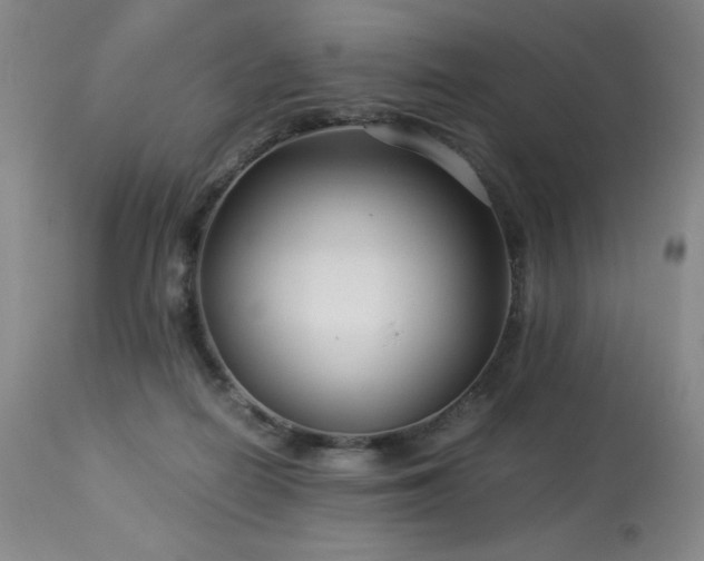 X0000114010266200910021350