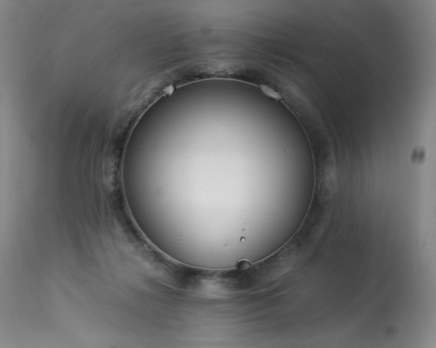 X0000114010268200910021350