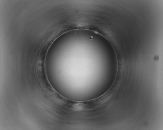 X0000114010269200910021350