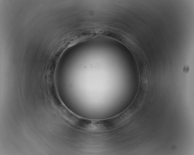 X0000114010270200910021350