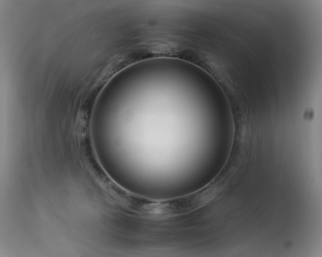 X0000114010273200910021350